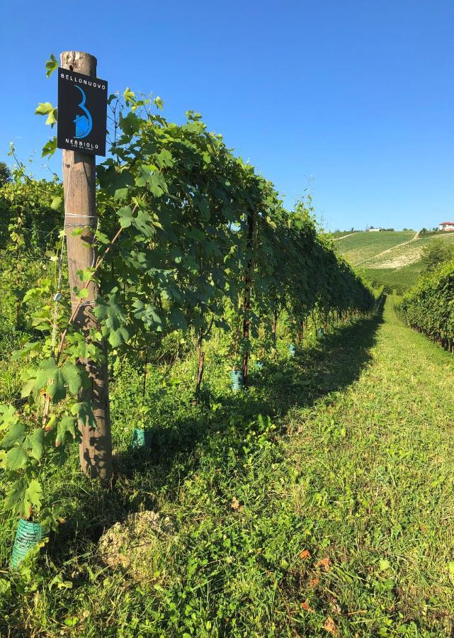 Cascina Bellonuovo Alba  Bagian luar foto